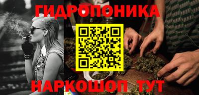 стафф Обь